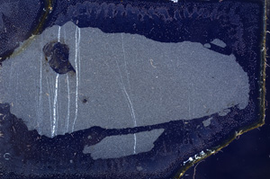Cross Polarized, E3396
