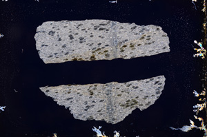 Cross Polarized, E3430