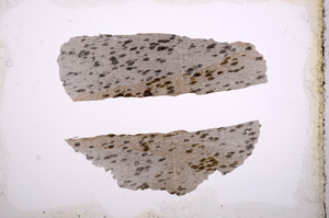 Plane Polarized, E3430