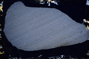 Cross Polarized, E3432