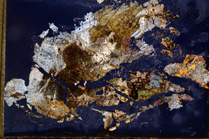 Cross Polarized, E3450