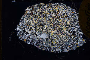 Cross Polarized, E3473