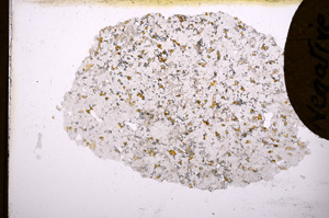 Plane Polarized, E3473