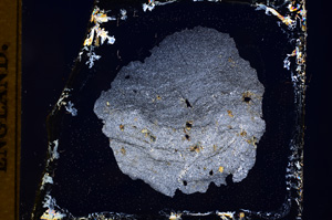 Cross Polarized, E3474