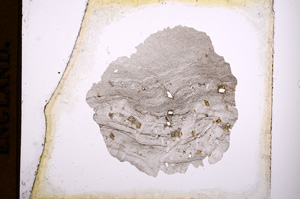 Plane Polarized, E3474