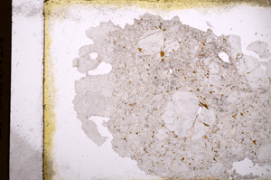 Plane Polarized, E3475