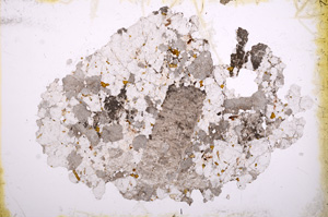 Plane Polarized, E3476