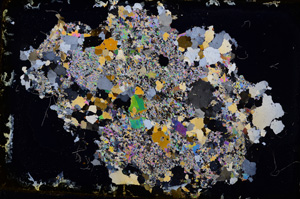 Cross Polarized, E3478