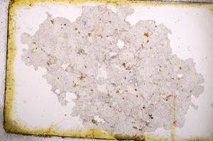 Plane Polarized, E3478