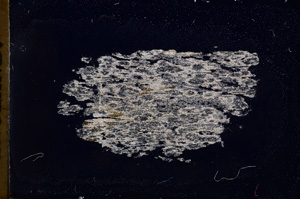 Cross Polarized, E3484