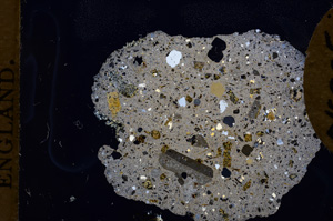 Cross Polarized, E3486