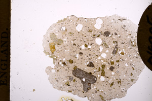 Plane Polarized, E3486