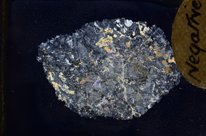 Cross Polarized, E3488