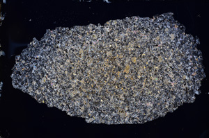 Cross Polarized, E3489