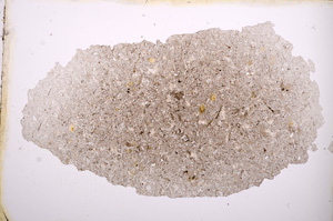 Plane Polarized, E3489