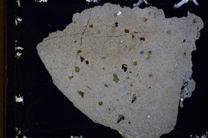 Cross Polarized, E3491