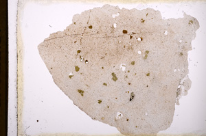 Plane Polarized, E3491