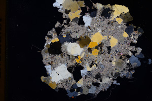 Cross Polarized, E3516