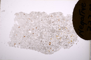 Plane Polarized, E3522
