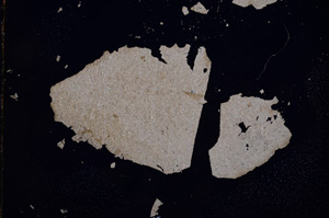Cross Polarized, E3533