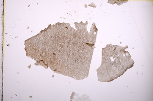 Plane Polarized, E3533