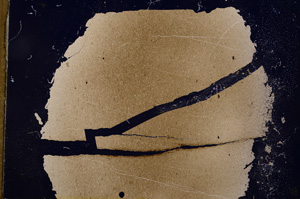Cross Polarized, E3536