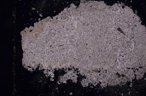 Cross Polarized, E3544