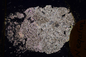 Cross Polarized, E3546