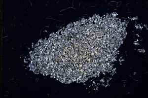 Cross Polarized, E3581