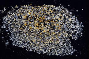 Cross Polarized, E3582