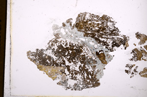 Plane Polarized, E3594