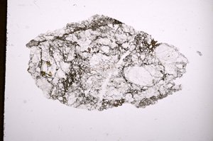 Plane Polarized, E3598