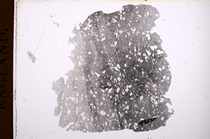 Plane Polarized, E3621