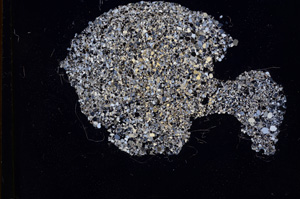 Cross Polarized, E3622