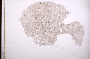 Plane Polarized, E3622