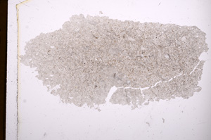 Plane Polarized, E3623