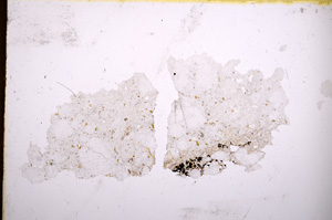 Plane Polarized, E3632