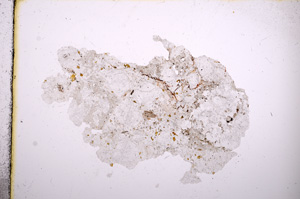 Plane Polarized, E3634