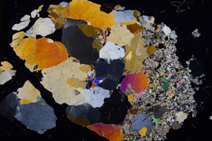 Cross Polarized, E3635