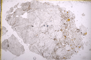 Plane Polarized, E3635