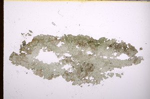 Plane Polarized, E3637