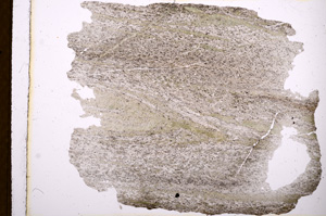 Plane Polarized, E3669