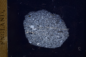 Cross Polarized, E3671