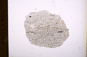 Plane Polarized, E3671