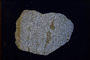Cross Polarized, E3682