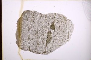 Plane Polarized, E3682