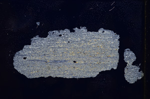 Cross Polarized, E3686