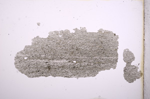 Plane Polarized, E3686