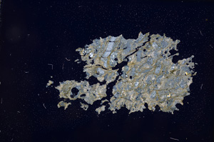 Cross Polarized, E3691