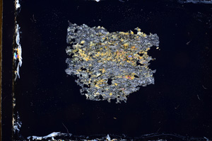 Cross Polarized, E3706